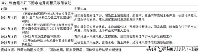 雅下水电工程的未来价值和影响