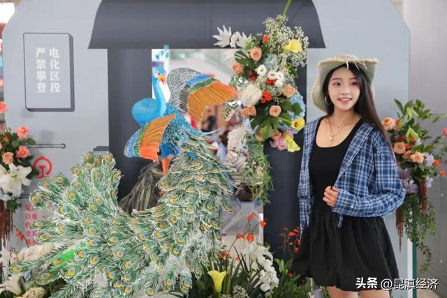 留好火车票！凭票云南近60家A级景区可免门票或打折