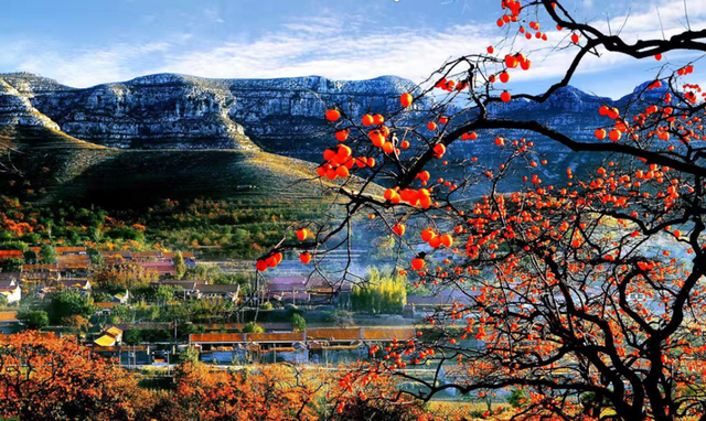 宝藏小城“县”在出发！去临朐～