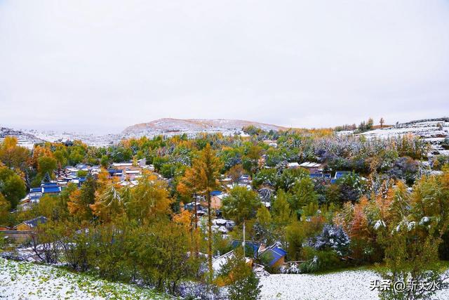 武山县四门麦山：秋红映雪