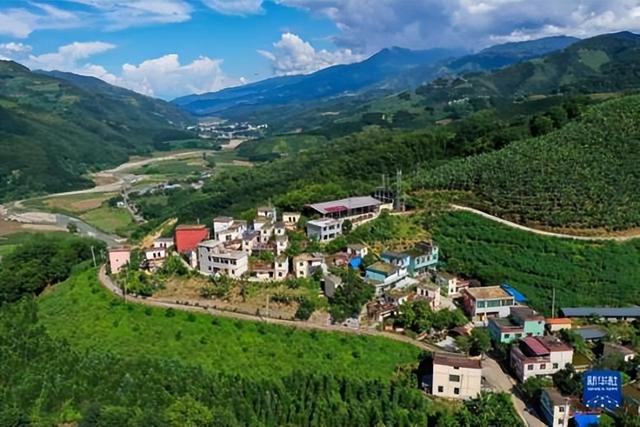 解放军在云南原始森林，发现一群男女，他们住草棚靠野果捕猎为生