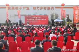 富平柿饼 甜蜜中国图片