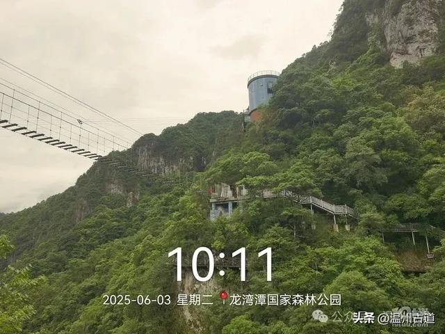 温州这个亲子游玩胜地、植物自然课堂孩子玩嗨家长不累