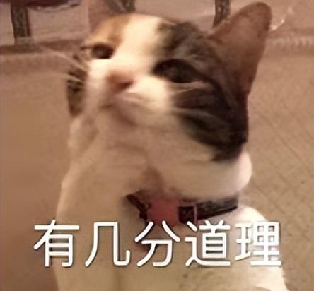 华为新机今天「一打二」的操作，把全部网友都整不会了