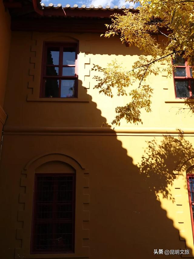 全屏“封神”！这可是昆明初冬的超绝顶流！保姆级攻略来袭，趁天晴立马冲！