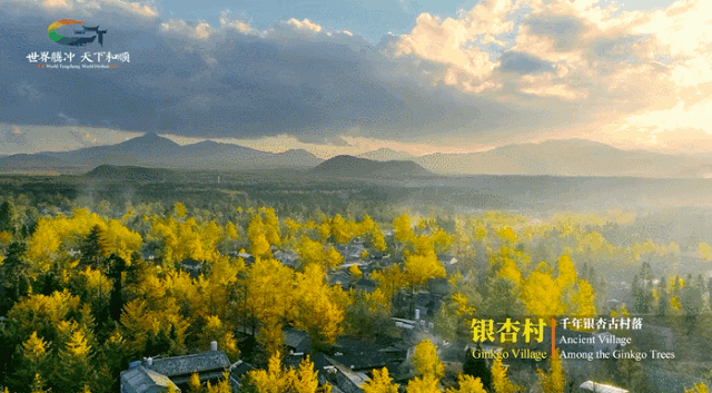 均温25°C，一年晴天300天的滇西小城，去躺平几日简直不要太快乐