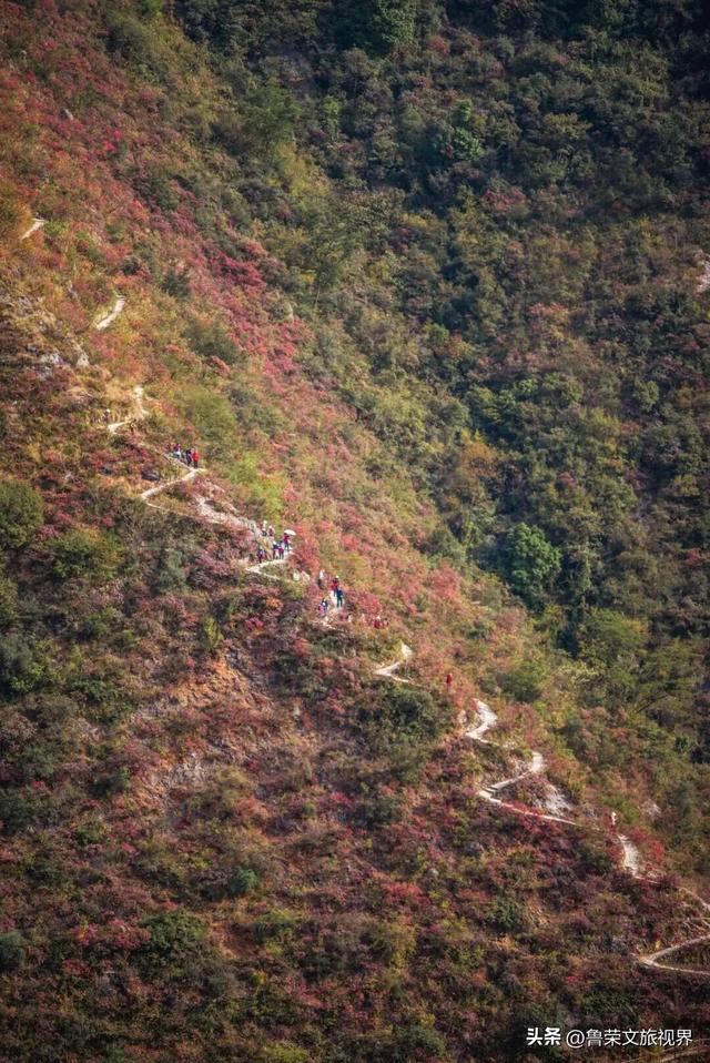 徒步三峡：霜叶漫山处，一步一千年