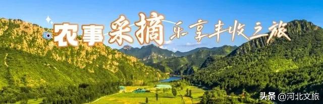 收好这份承德秘境地图！5条线路带你解锁塞外秋天的隐藏副本～