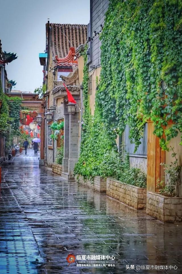 秋雨落，诗意起…邂逅临夏秋雨的美