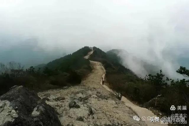 远上乌岩岭上斜,白云生处白云尖!温州这处秋日美景值得一去!