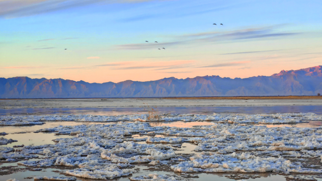 冬日奇观！落日流凌为黄河披上幻彩霓裳