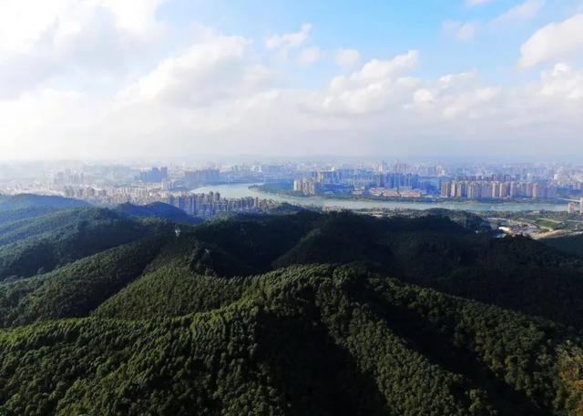 北有青秀山,南有五象岭,如今这里的变化太大了!