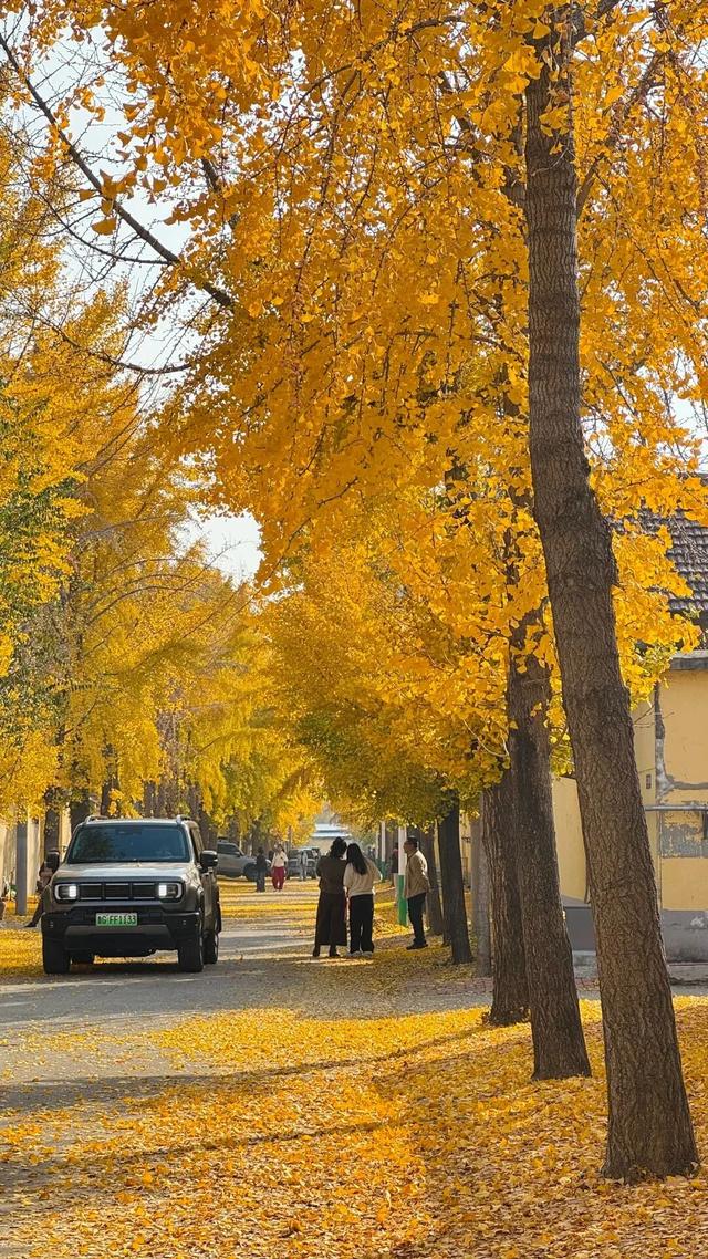 潍坊美景“告急”！这些地方错过等一年！