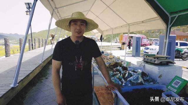 卓尼：油菜花开呈五彩景 夏日高原迎八方宾