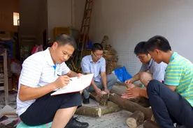 沉香的新生：从野生濒危到人工种植图片