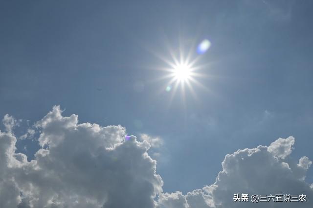 19号出伏，今年出伏不一般，农村老人总结:4大特点，4个要注意
