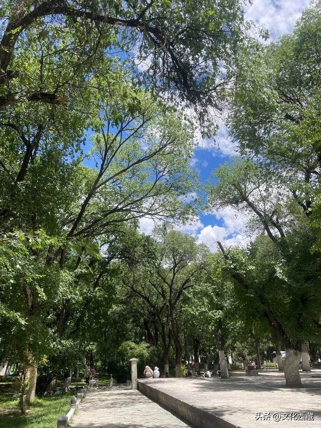 人间绝色！拉萨！拉萨！