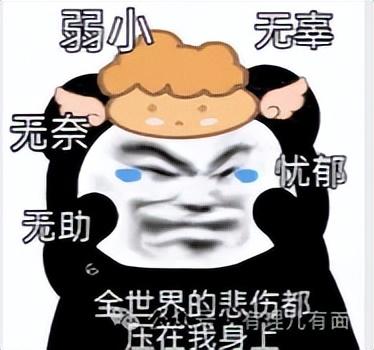 战时大选：泽连斯基用选举换喘息？