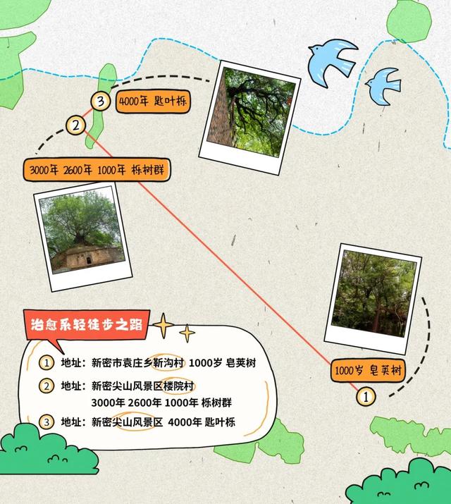 不焦虑，抱古树｜郑州古树漫游计划开启 100杯好礼免费送