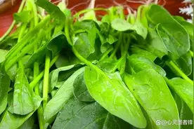 十大最常见的绿叶蔬菜图片