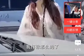 路虎女司机：我打你怎么了？图片