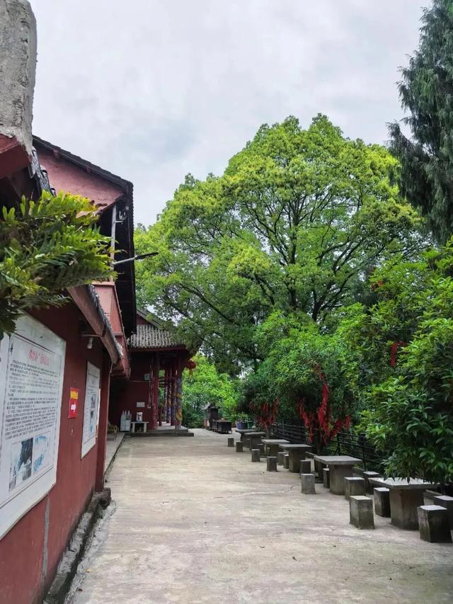 与青城山齐名！成都南门0.5h直达小众古寺，人少景美徒步好去处！