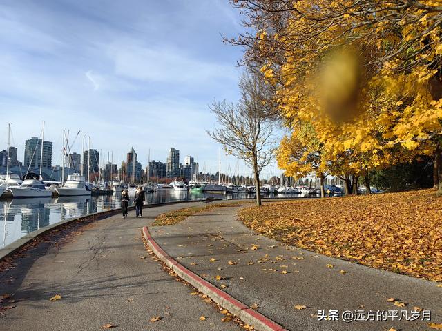 温哥华游记（四）