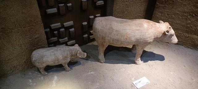 高陵昭慧塔文物展