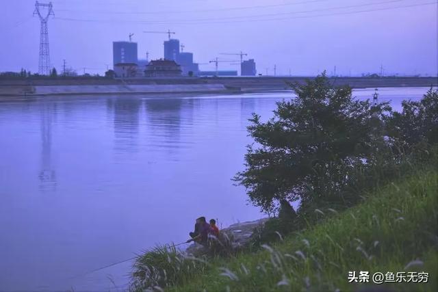 自制钓鱼饵料配方大全 实用指南