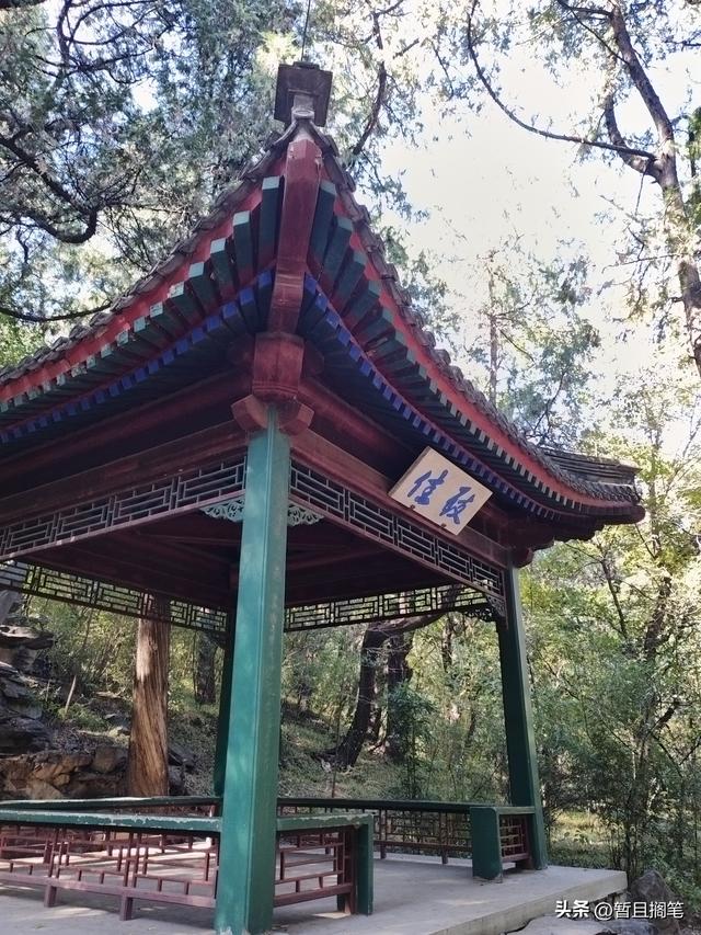 以我4次经历，带你打卡北京香山，北京的朋友请补充