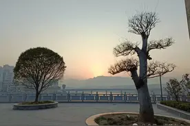 建设工程质量检测费由谁出？图片