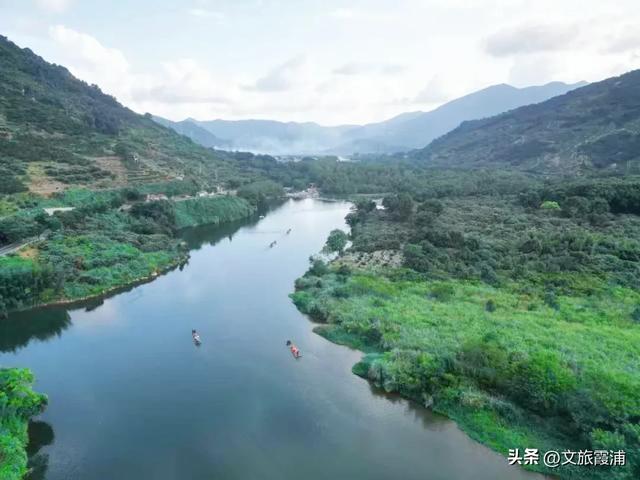 当北纬27°的风穿过枫林,我在渡头村撞见了一场自然的浪漫剧场