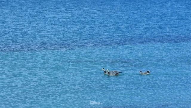 库拉岗日，“戏”真多！
