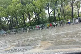 上海“变脸”：暴雨突袭，城市“受惊”图片