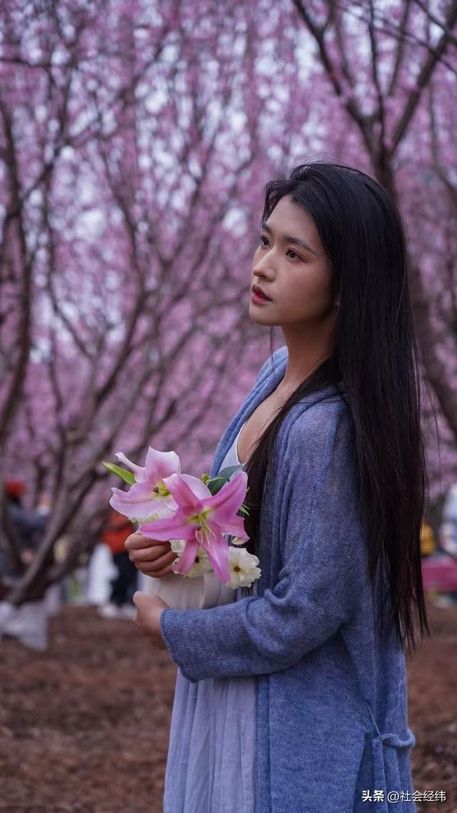 每日一景|寒意未消春意先至 南京中山植物园早樱绽放迎游人