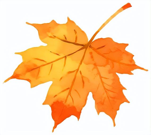 别急，地坛秋色还在！银杏节持续至本周末→