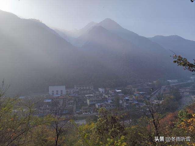 又见山山红叶飞