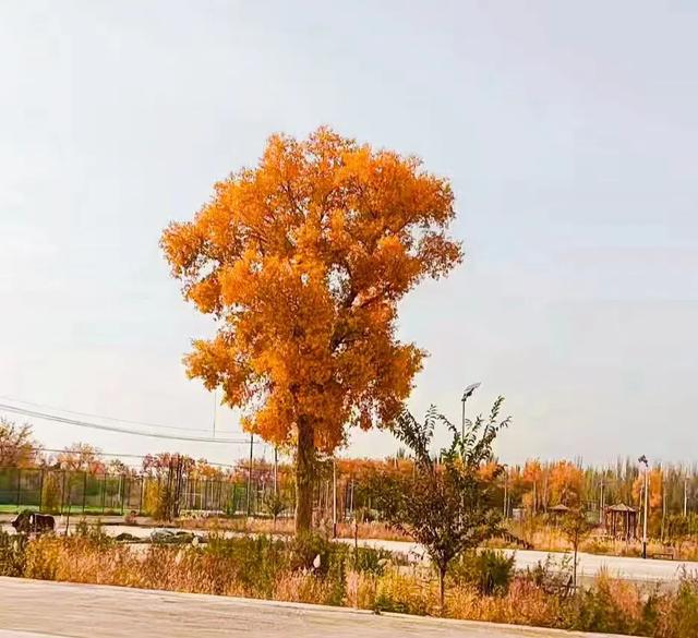 相信我，今生你必须去一次新疆
