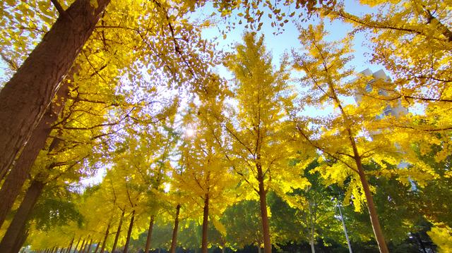 头条是个热闹的聊天室！