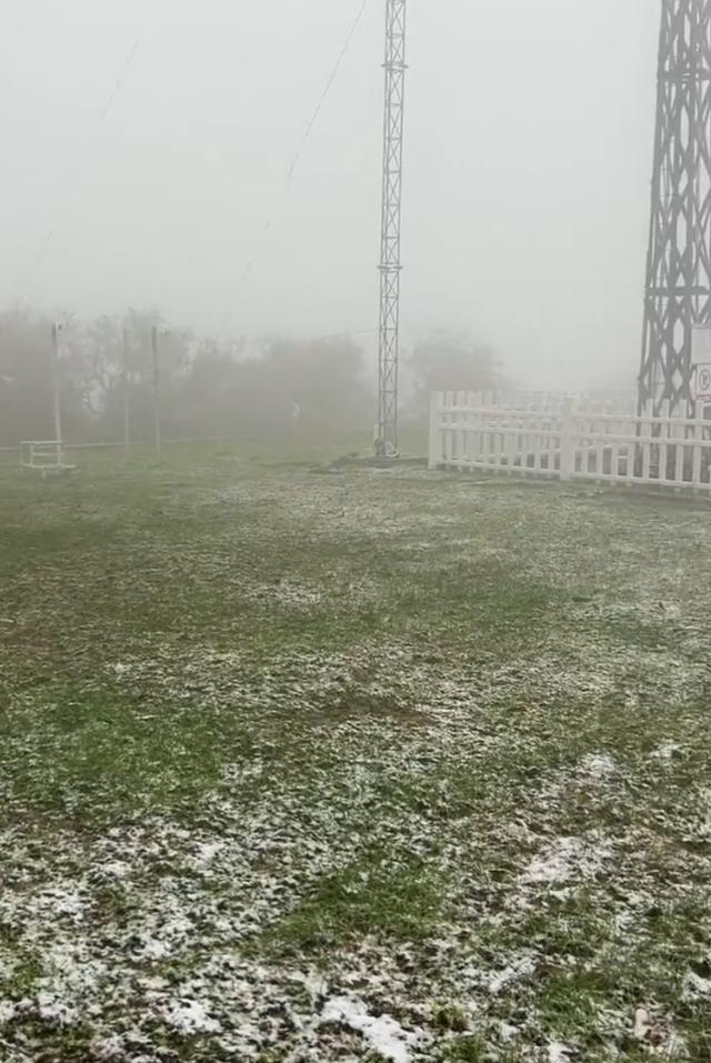 河南首场“绿叶雪”刷屏！告别60年最长阴雨，全省一夜入冬，今天河南人有多“抗冻”？