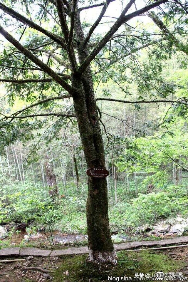 水口景区小记（江西之旅第八十八篇）