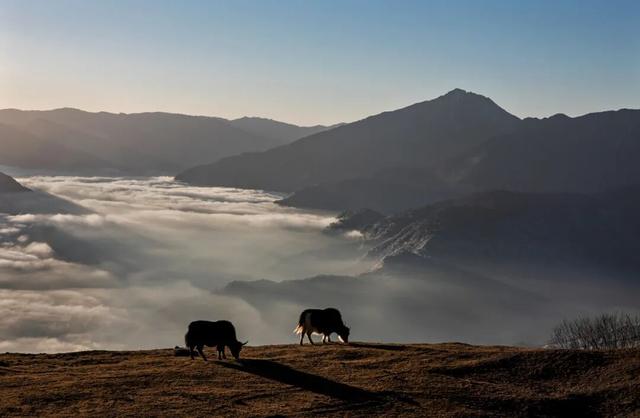 神木垒&达瓦更扎进入美貌开挂模式，请做好相关旅游准备！