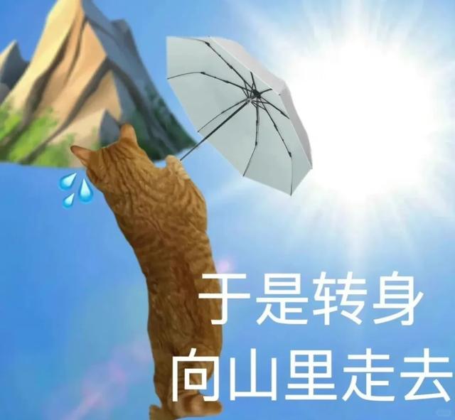 夏日纳凉避暑TOP1！亲子耍水、徒步吸氧、度假风打卡地，22°的夏天抓紧来！