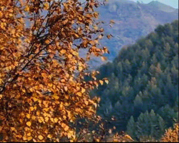大同，等你在秋天来