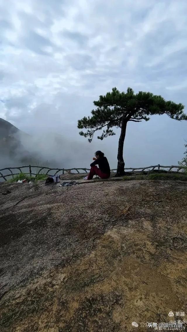 “浙南之巅”竟藏着以奇石景观著称的微缩版三清山，目前免费玩！