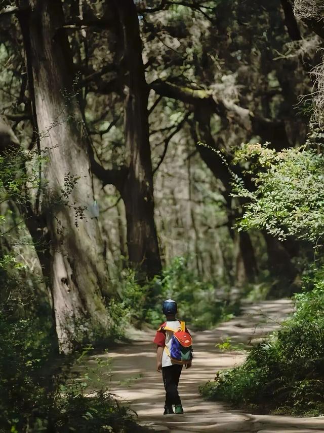 与清明节连休6天！成都中小学春假15条精品研学线路发布