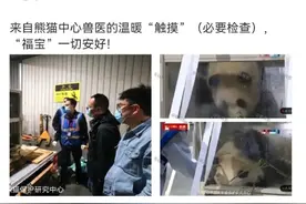 “福宝”疑似被戳引发中韩网友不满，最新回应来了图片
