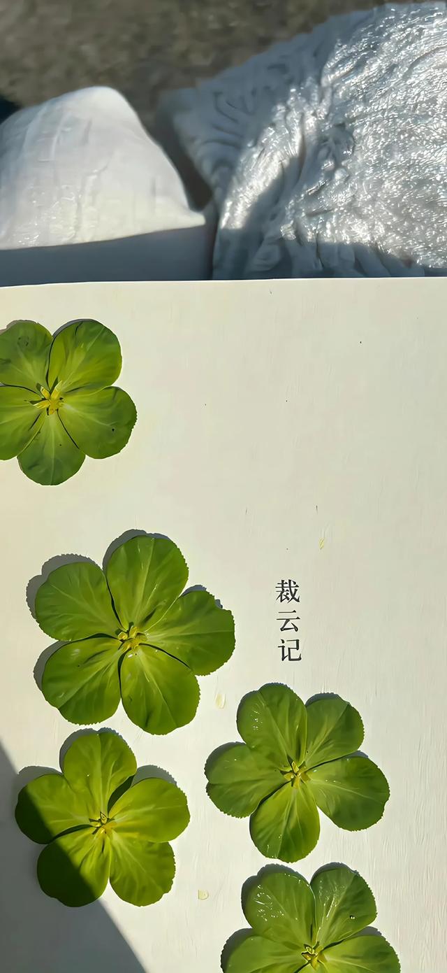 手机锁屏壁纸6.20