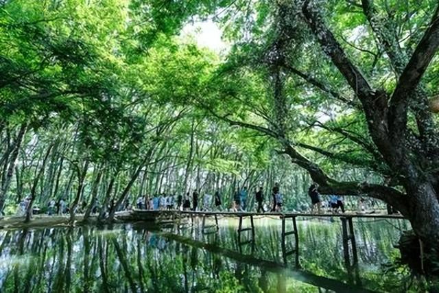 “绿野仙踪”西溪南