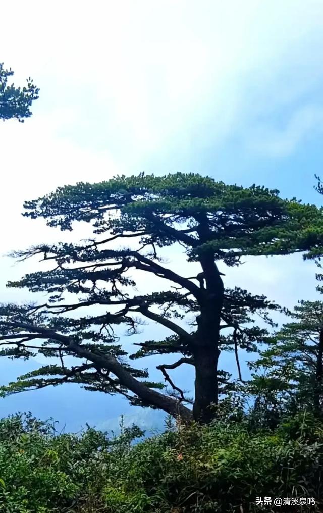 石转风吟处，仙磨寄情思——登十二渡水长老峰记
